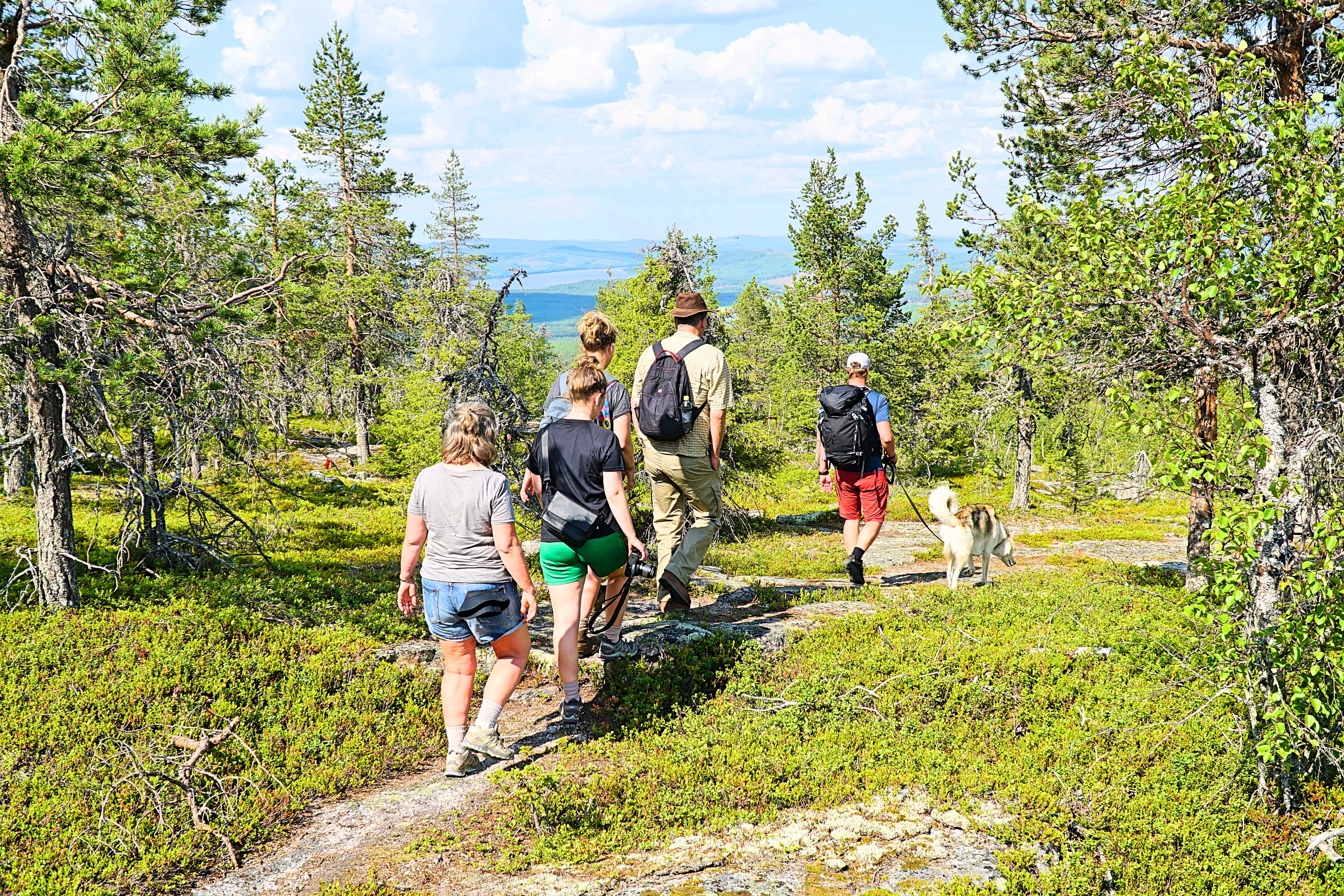 Hiking to Laxforsberget Mountain