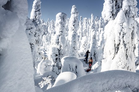 Winter Activities